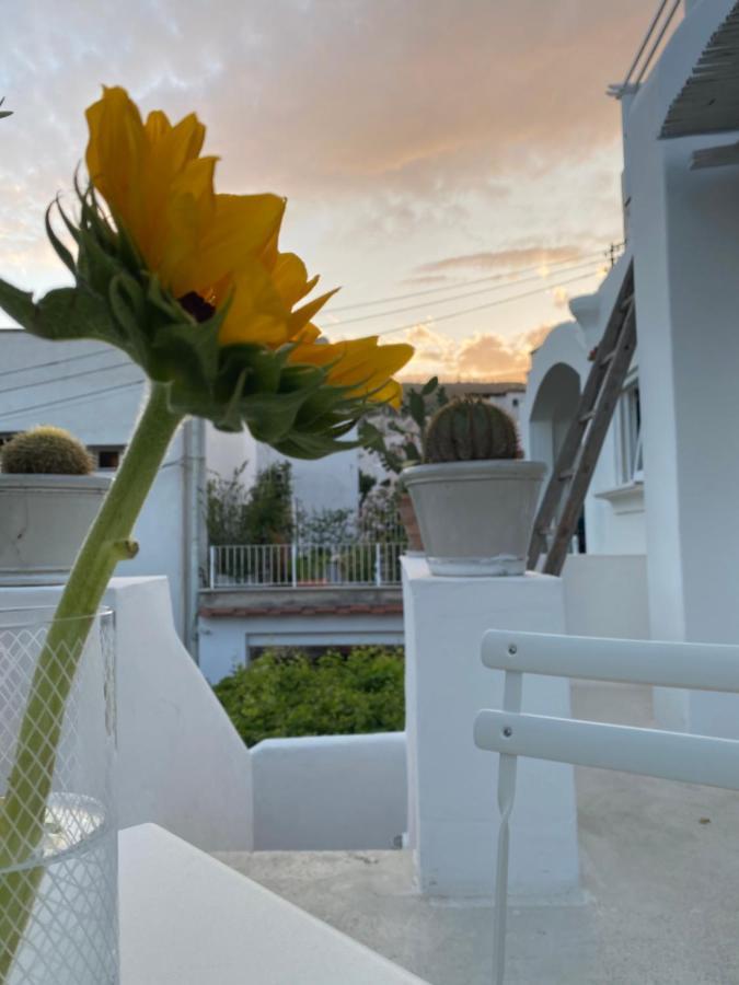 Suites Edivino Design קאפרי מראה חיצוני תמונה