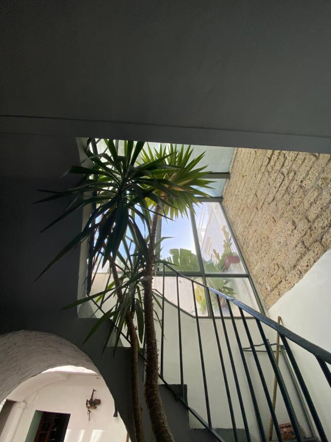 Suites Edivino Design קאפרי מראה חיצוני תמונה