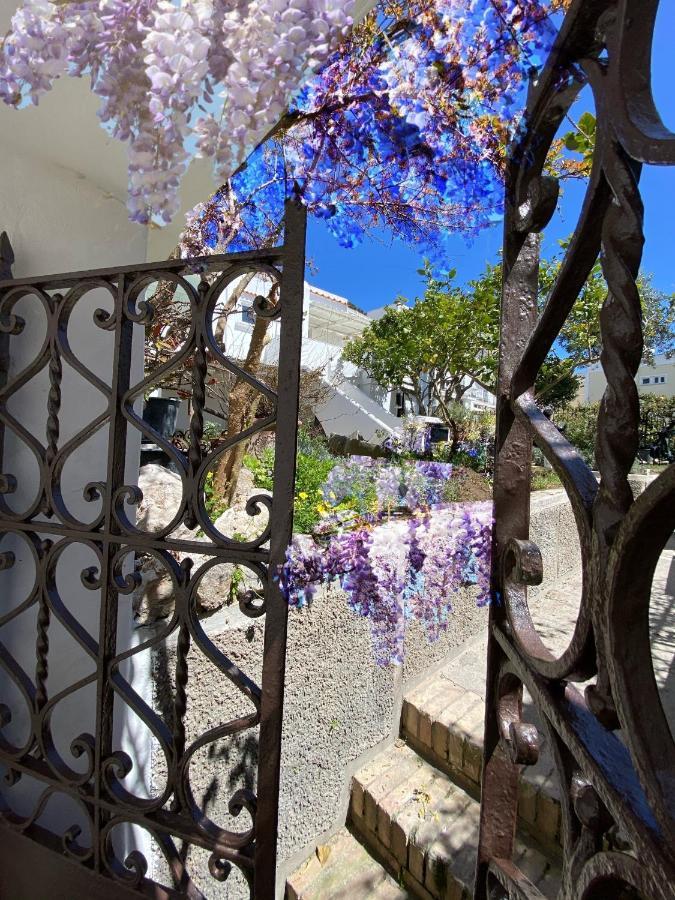 Suites Edivino Design קאפרי מראה חיצוני תמונה